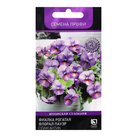 Flower seeds violet "Floral Power Plaum Antik", 10 pcs