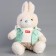 Soft toy "Little Friend", a bunny in a suit