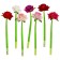 Gel Helm-prick "Rose", mix