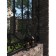 Soil-enamel in rust 3B1 aerosol Monarca 520 ml, Ral9005 Black glossy