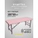 Cosmetological couch Basic + SV, size 180 × 60 × 68-84 cm, color powder