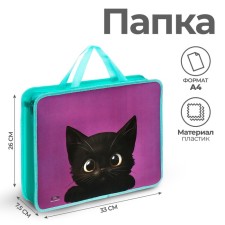Folder with A4 handles, 330 x 260 x 75 mm, plastic, pens, Calligrata 