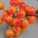 Decor for creativity "Berries" length 1.2 cm, red-yellow