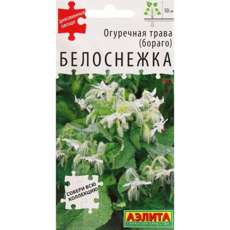 Seeds of cucumber grass "Snow White", c/p, 0.3 g