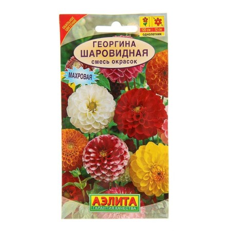 Georgin's flowers "spherical", a mixture of colors, o, 0.2 g-1