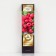 Raspberry repair varieties "Polyana", 1 pc, tube, spring 2025