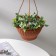 Street Kashpo for flowers suspended "Mirabel", 2.5 l, brown color