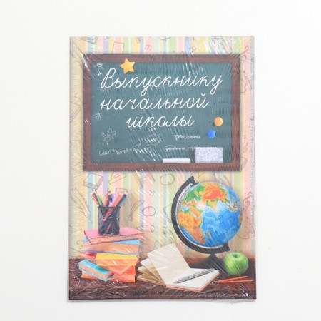 Folder "Primary School", A4, without files-3