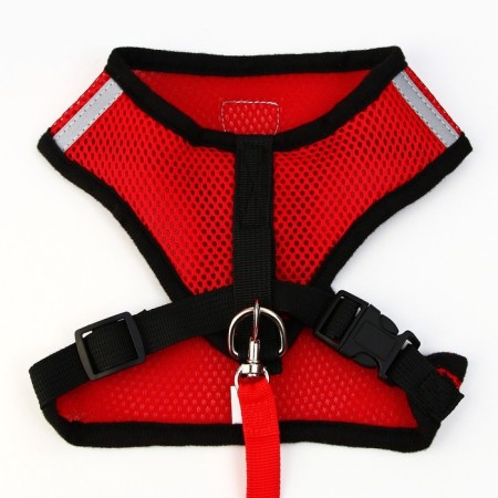 Drinking harness with a leash and reflective patch, L, Osh 35, OG 38-50, Red-5