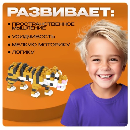Designer - Surprise "Beast", mix-4