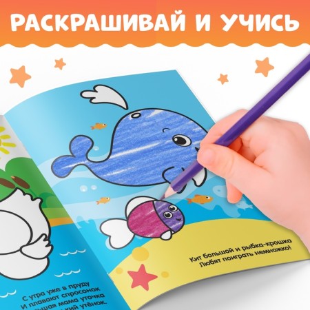 Набор раскрасок для мальчиков и девочек, 15 в 1-3