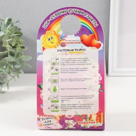 Growing gift grass growing "Zindi" mix-7