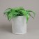 Container with handles, 22 × 26 cm, density 130 g/m², Greengo