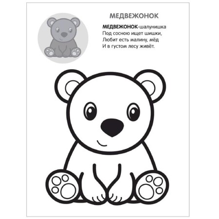 Color on the model. In the forest-1