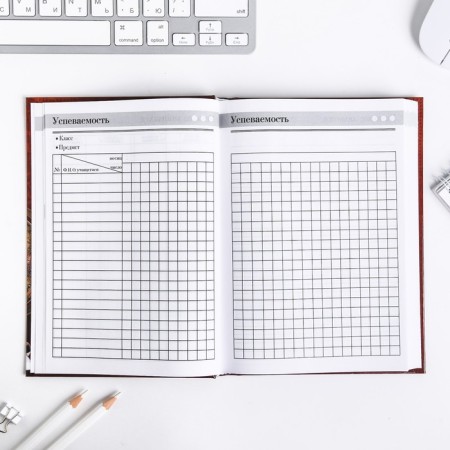 Diary “Teacher: Teacher Diary”, firm cover cardboard 7BC, A5 format, 160 sheets-7
