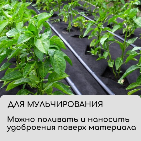 Material for landscape work, 5 × 3.2 m, density 120 g/m², spanbond with a UV stabilizer, black, Greengo, economy 30%-6