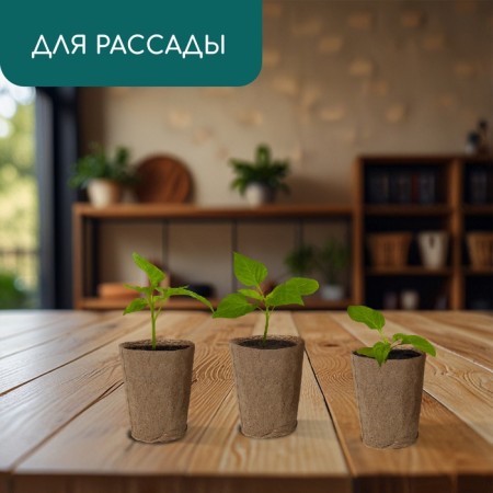 Peat pot, 100 ml, 6 × 6 cm, set 20 pcs., Greengo-2