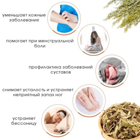 Feet Napting - Herbal Generation "Wormwood", set 5 pcs-1