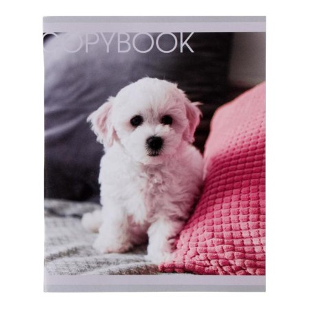 Notebook of 48 sheets in Calligrata "Favorite pets", cover coated paper, block No. 2, whiteness 75% (gray sheets), mix-1