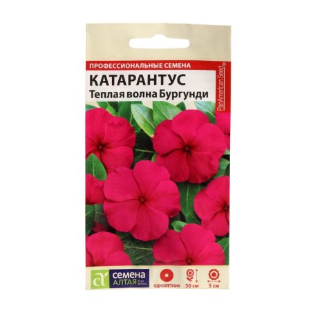 Seeds of flowers Catarantus "Warm Wave", Burgundy, 7 pcs.