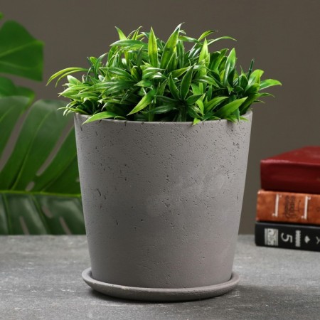 Flower pot "Clivia" graphite, 1.8l-1