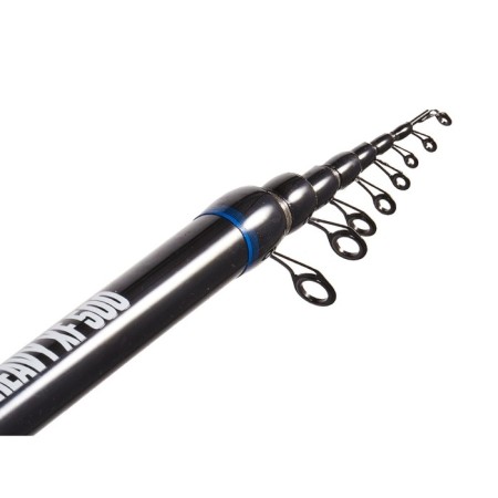 Salmo Diamond River Bolognes Heavy XF, test 5-30 g, length 5 m. 75-3