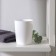 Aqua toothbrush cup, snow-white color