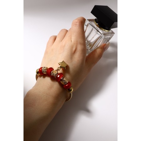 Assortment "Margeri" star star, red color in gold, d = 6.5 cm-1