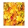 A set of napkins for setting the table "Carpet of maple leaves", rectangular, size 32x46 cm, 4 pcs