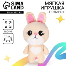 Gift set for a girl with a soft toy 