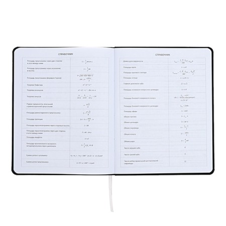 Universal diary for TURBO 1-11 grade, hard cover, artificial leather, foam rubber, lies, 80 g/m2-8