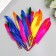 Decorative straight feathers, 10-15 cm (set 24 pcs) 6 colors, two-tone, assorted