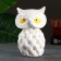 Piggy bank "Eagle" White, 10.5x9x16cm