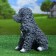 Garden figure "dog Poodle" 17x29x29cm