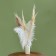 Feather for decor, length: from 45 to 60 cm, white color