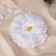Hair elastic band Bant "Schoolgirl" Chamomile droplet, D-11 cm, white