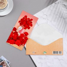 The envelope for the money 