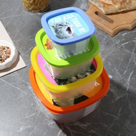 A set of containers "Animal Print", 4 pcs: 230 ml, 500 ml, 900 ml, 1550 ml-1