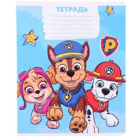Notebook in a large cage 12 sheets, 5 types of mix, cover coated cardboard, puppy patrol-10