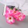 Bouquet "Adenium Extra Galant" D-14 cm 30 cm, mix
