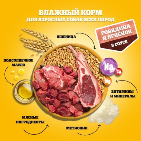 Wet Pedigree food for dogs, beef/lamb in sauce, spider, 85 g-5