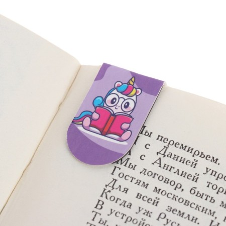 Magnetic laying "Pony and unicorns"-1