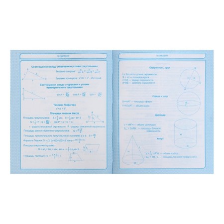Diary for grades 5-11, "owl", solid cover 7BC, glossy lamination, 48 sheets-10