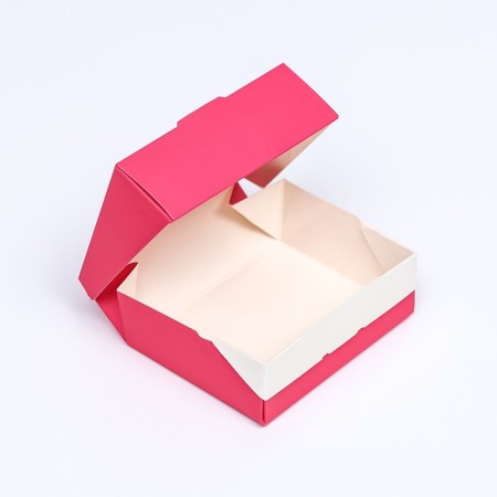 Container for removal, pink, 10 x 8 x 3.5 cm-3