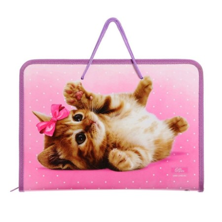 A4 labor folder with handles, 325 x 230 x 25 mm, zipper around, folding bar, plastic, PTR-6 calligrata "Sweetheart"-5