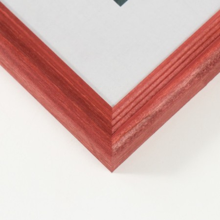 Photo frame tree "Image Art" C18 18x18 cm, (plastic screen), red tree-1