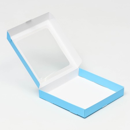 Self -charged box, with a blue window, 19 x 19 x 3 cm-4