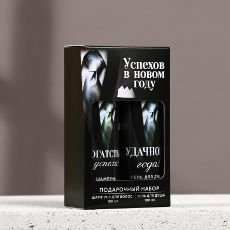 Gift set "Success in the New Year", shower gel and hair shampoo, 2x100-6