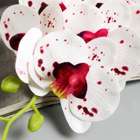 Artificial flowers "Extra Galant orchid" 60 cm D-8 cm, white-lilac-1