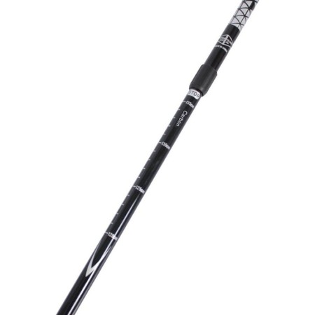 Scandinavian walking BRADEX Walking Nordic Style Pro, Carbon Telescopic-9